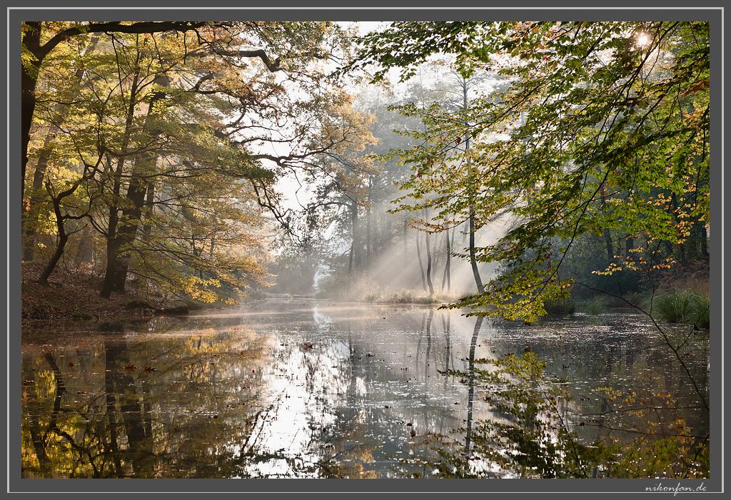 Herbstlicht