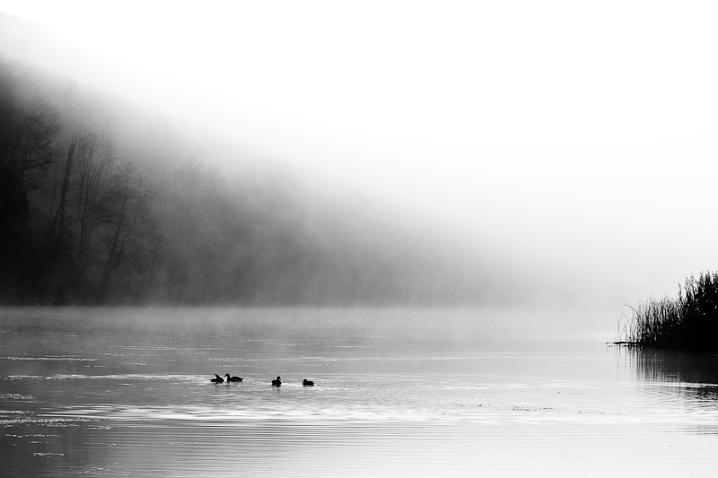 Herbstmorgen am Wöhrsee in Burghausen