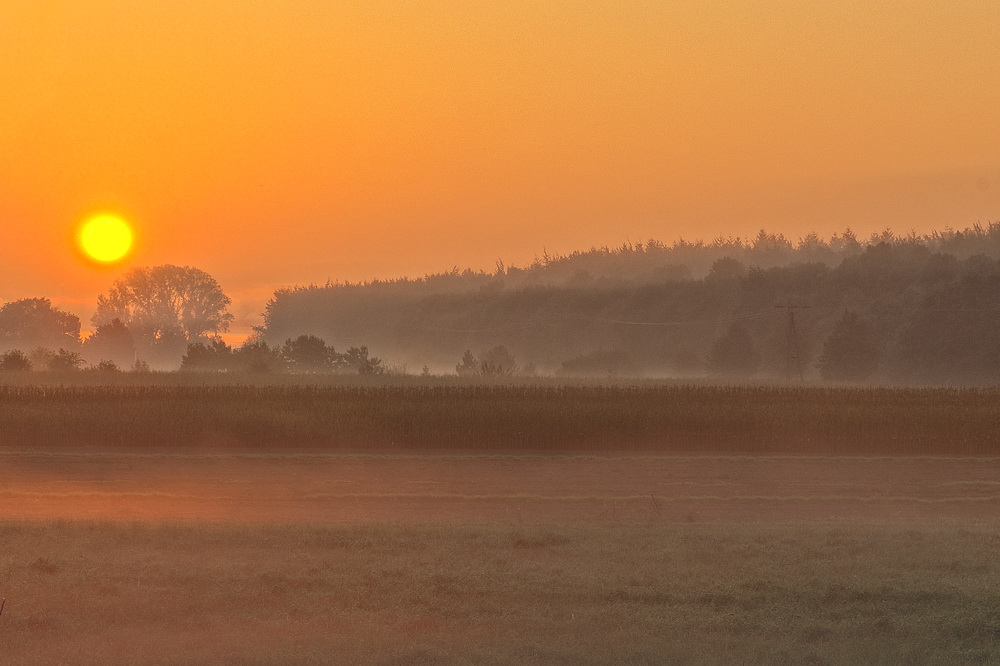 Herbstmorgen1