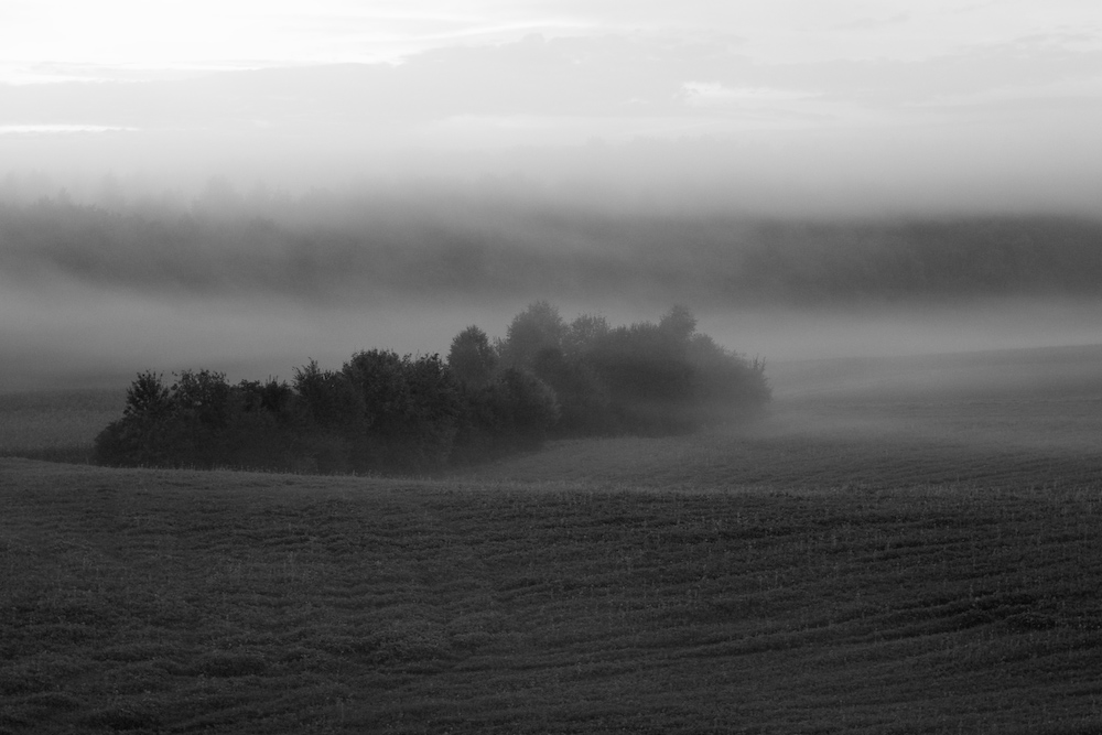 Herbstnebel