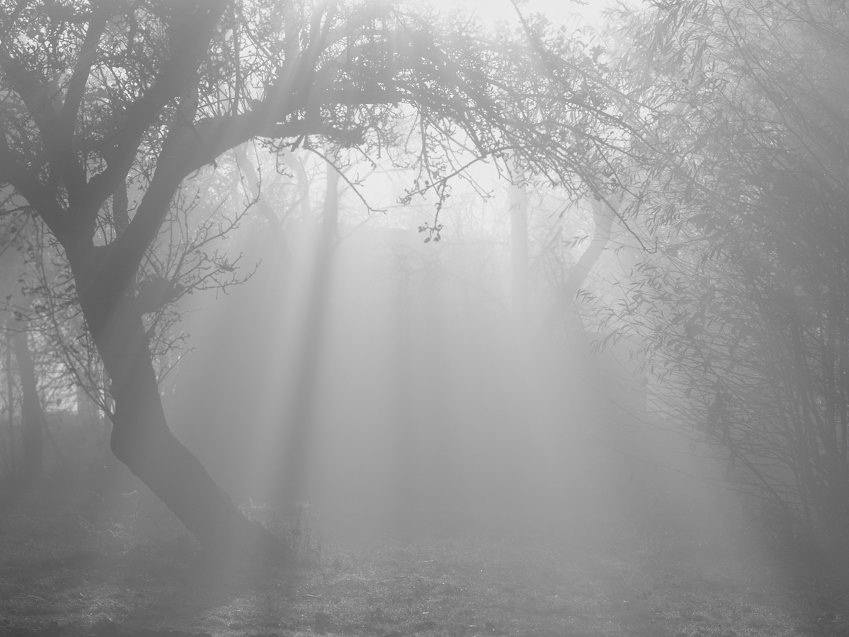 Herbstnebel2