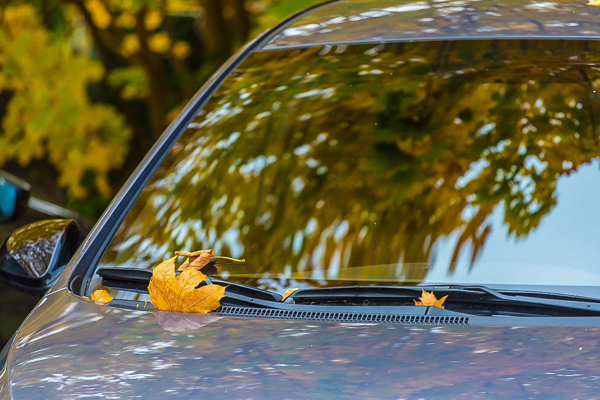 Herbstparker (1 von 1).JPG