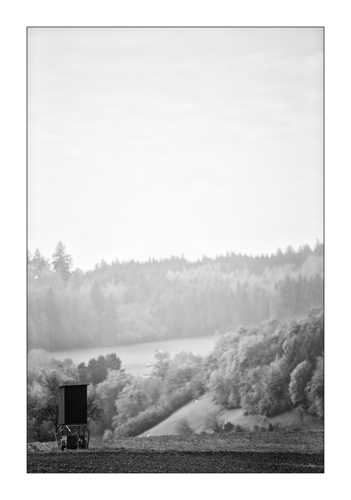 HerbstPZ1 3128