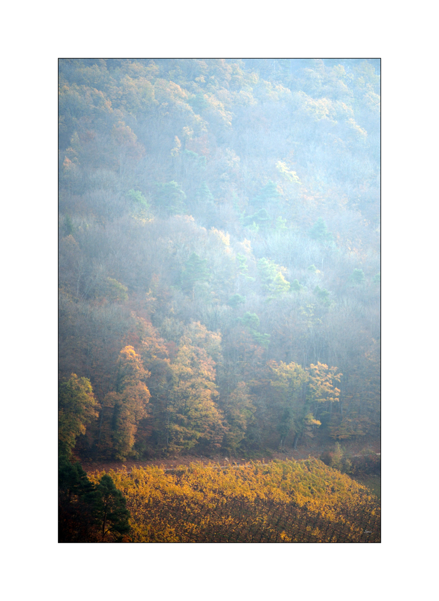 HerbstPZ1 4069