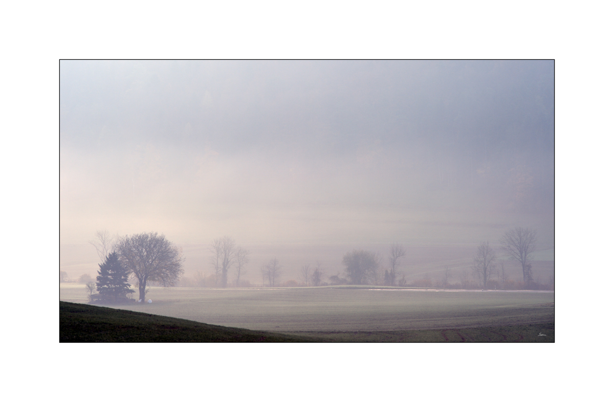 HerbstPZ1 4071