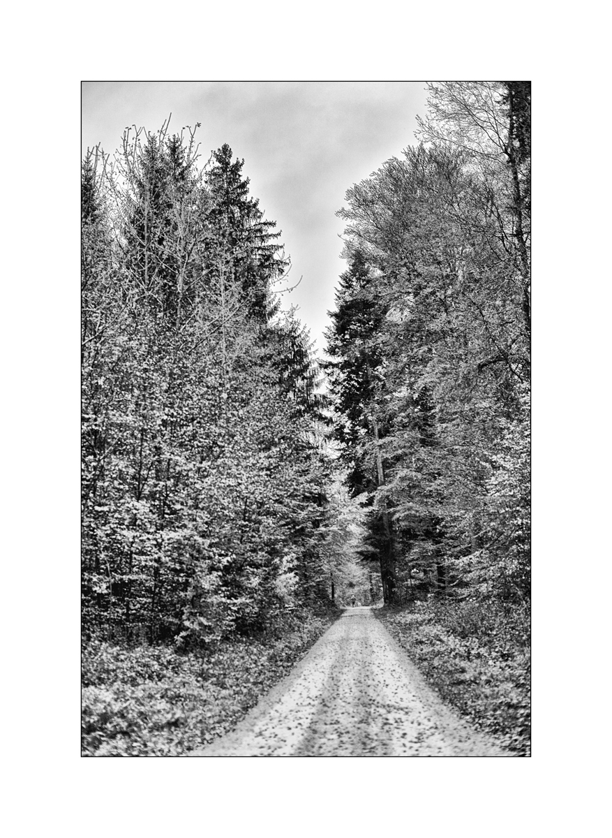 HerbstPZ1 7904 00002