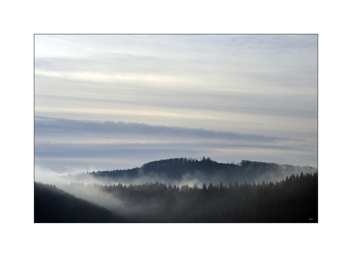 HerbstPZ1 8139 00004