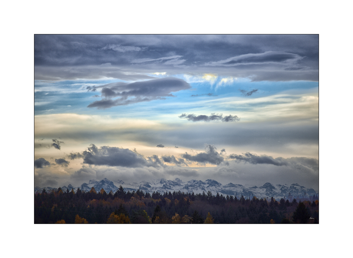 HerbstPZ1 8180 00004