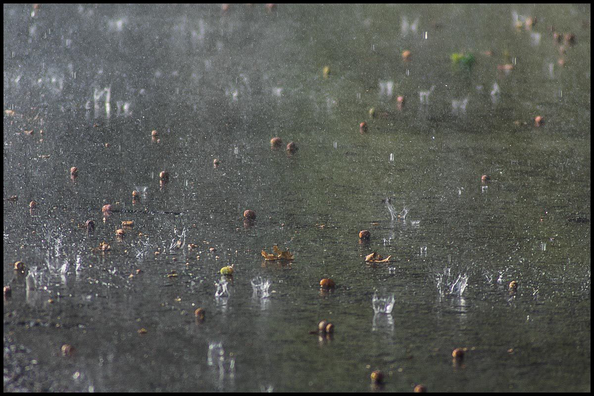 Herbstschauer-2.JPG