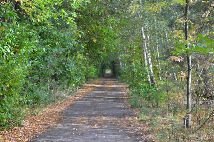Herbstspaziergang