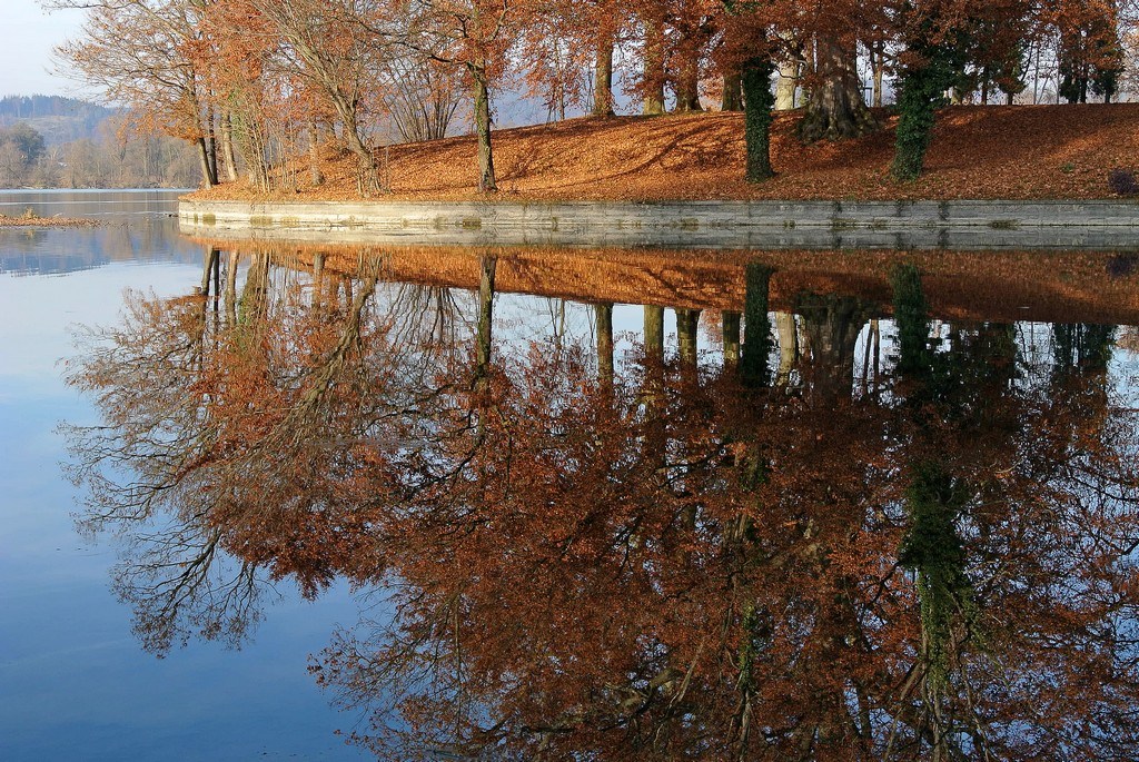 Herbstspiegelung