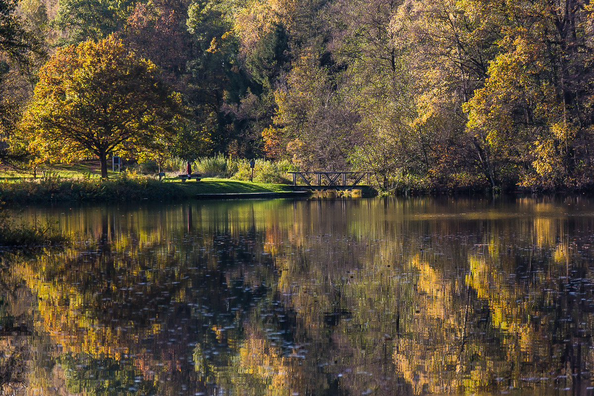 Herbststeg (1 von 1).JPG