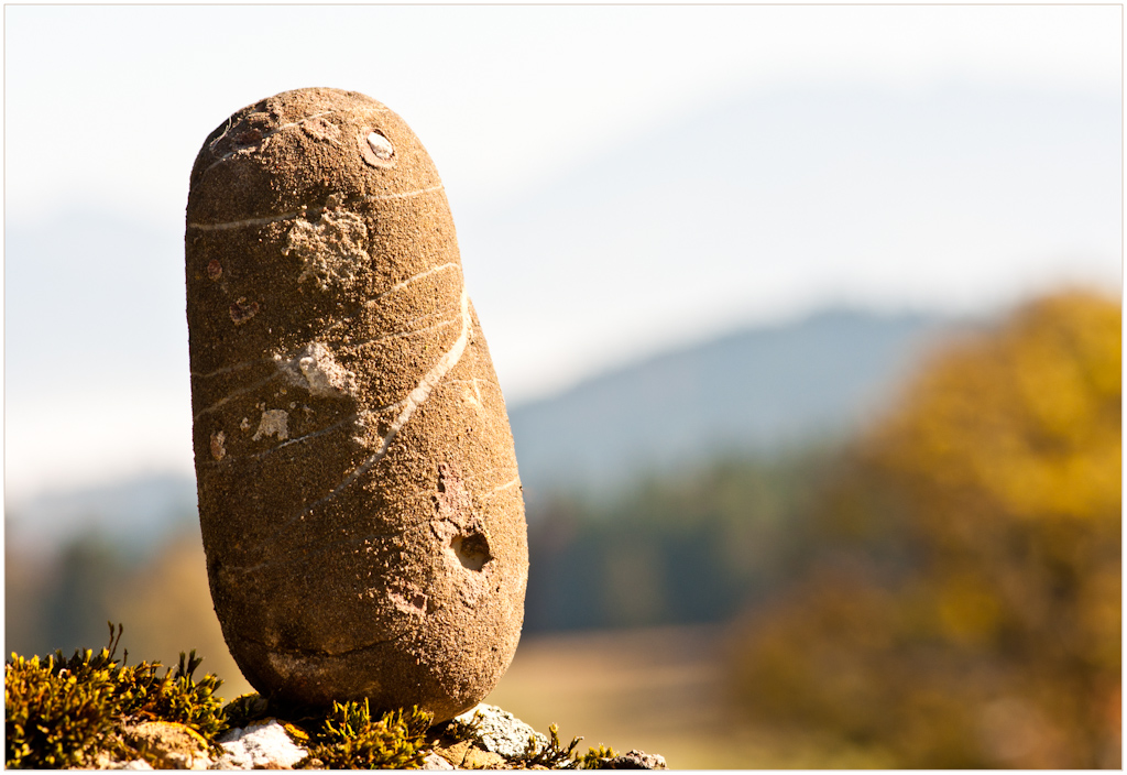 Herbststein