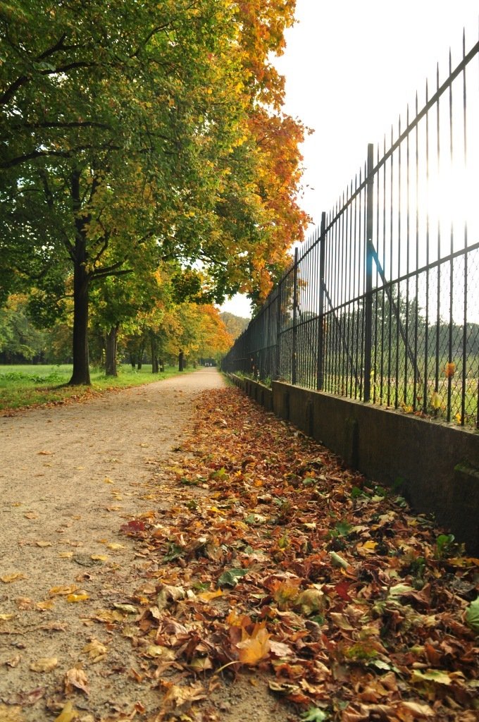 Herbststimmung im Großen Garten in Dresden