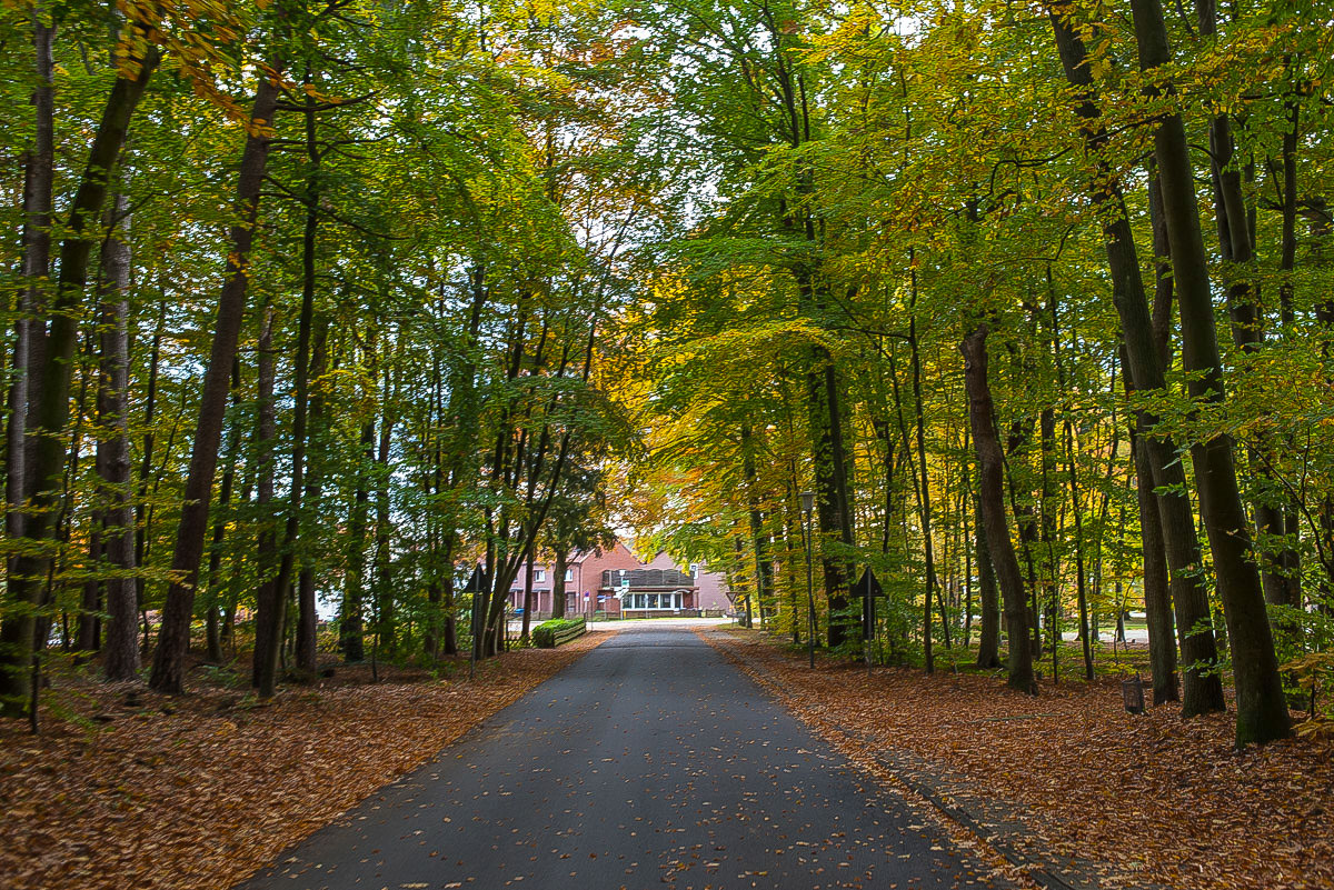Herbststrasse (1 von 1).JPG
