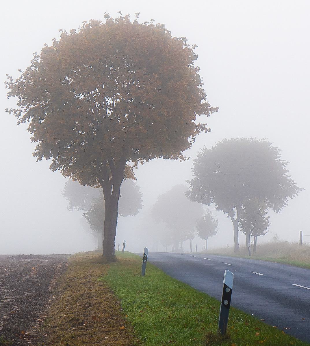 Herbststrasse.jpg