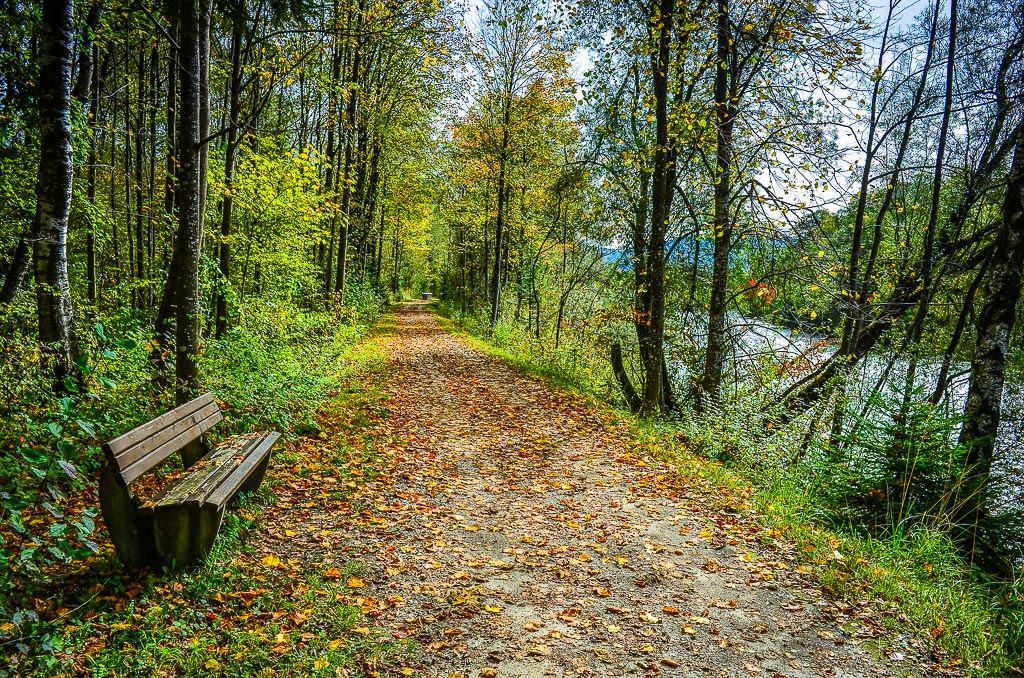 Herbsttag am Isarweg