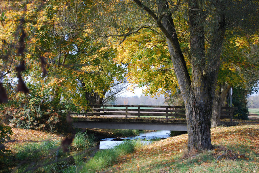 Herbsttag