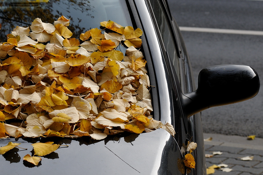 Herbstwagen