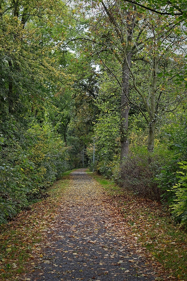 Herbstwall