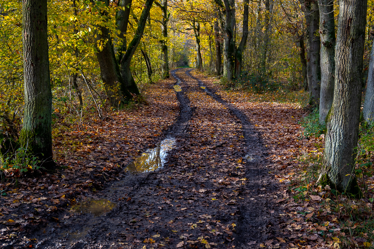 Herbstweg