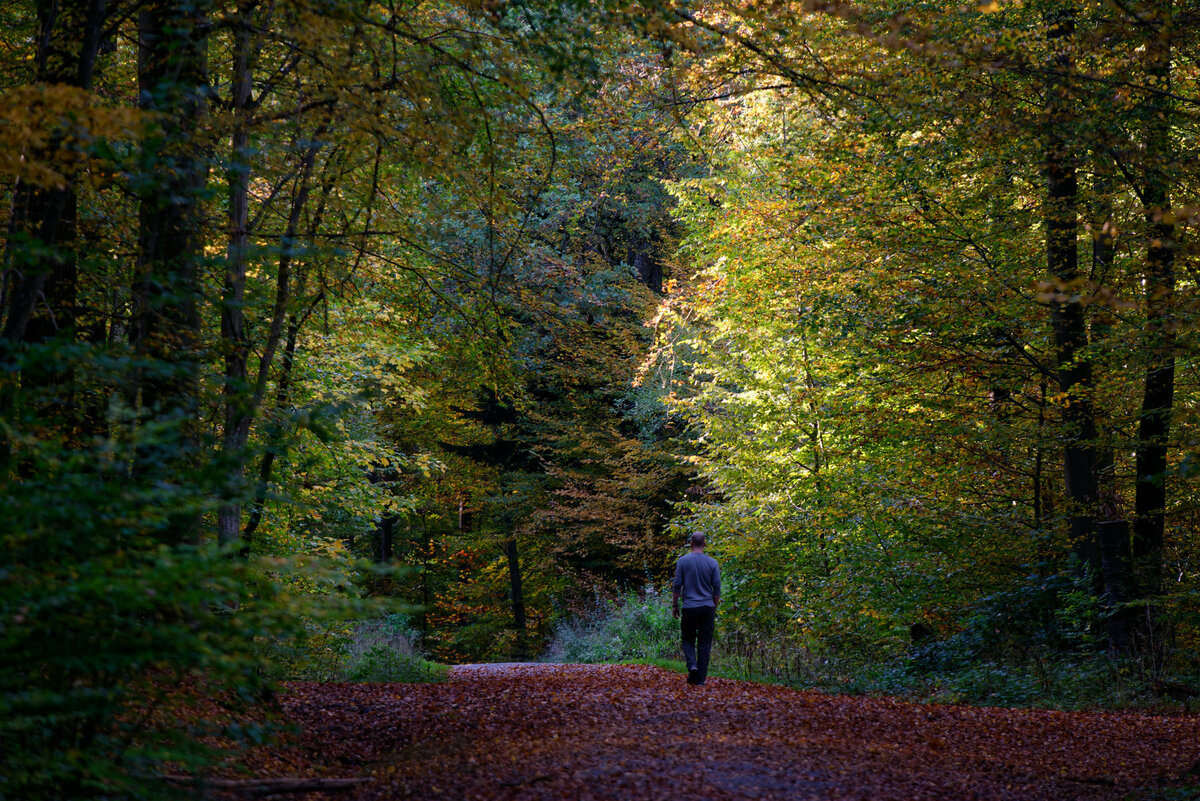 Herbstweg