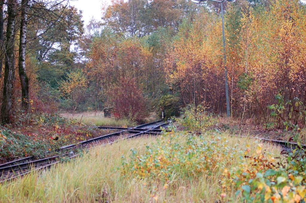 Herbstzeit