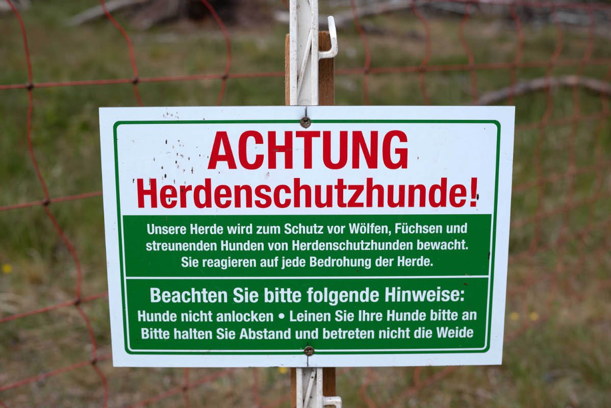 Herdenschutz.jpg