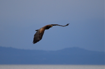 Heriot Bay auf Quadra island