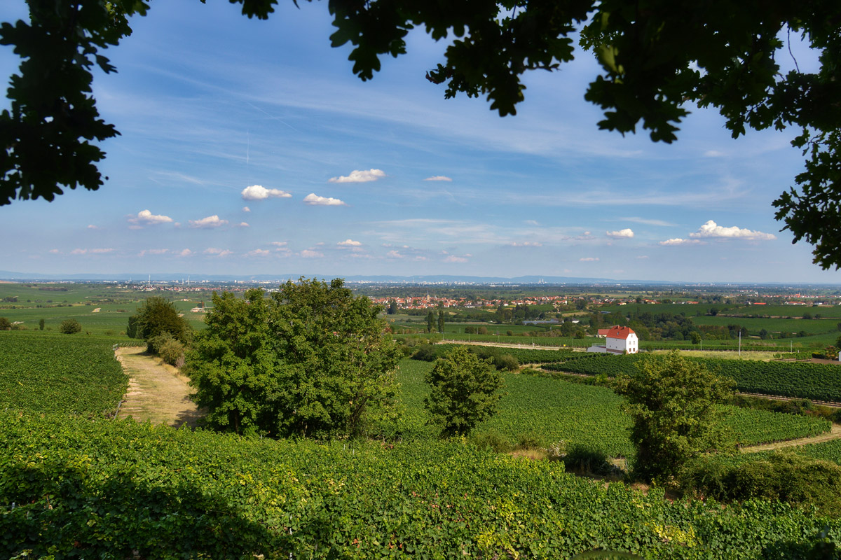 herxheim.jpg
