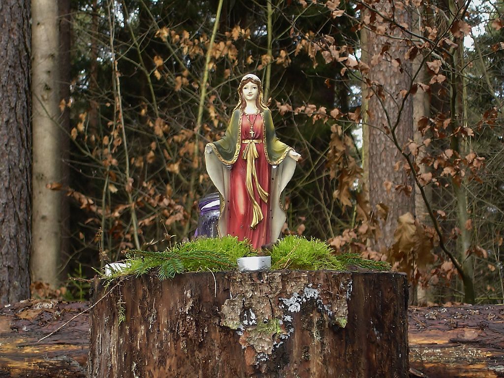 Heute beim Waldspaziergang gesehen