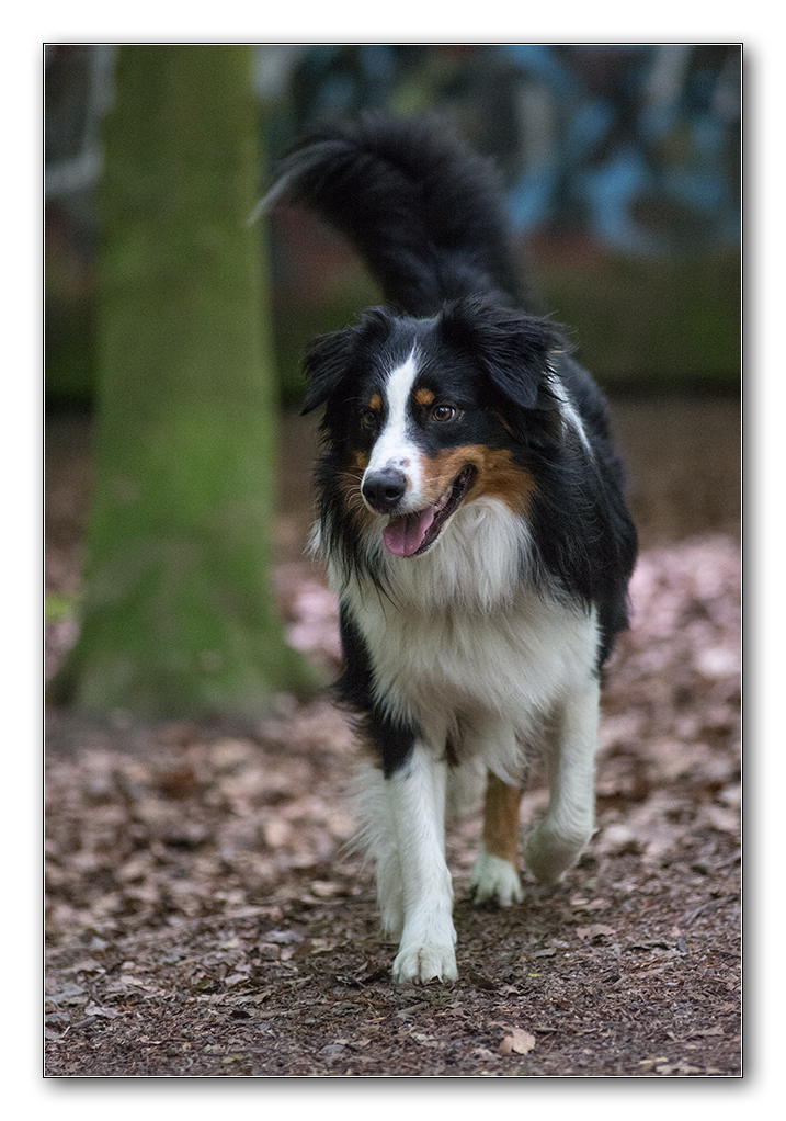 heute im wald