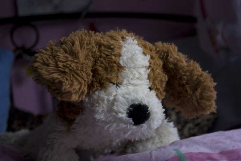 Hier ist "Mr. Brown" =) ich lag im Bett meiner Freundin und sah ihn grad so "sitzen/stehen" ^^