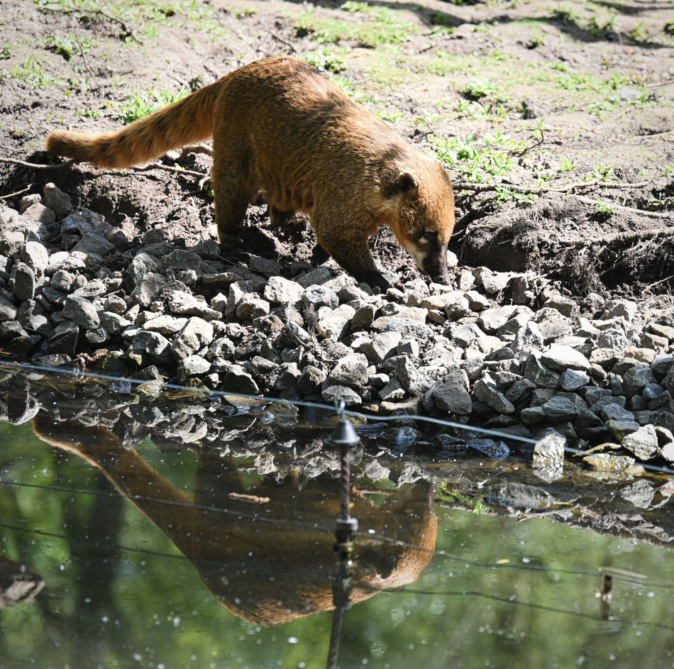 Hier war doch gestern auch was Leckeres gewesen...DSC_3312.jpg