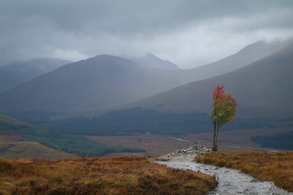 Highland Herbst b2