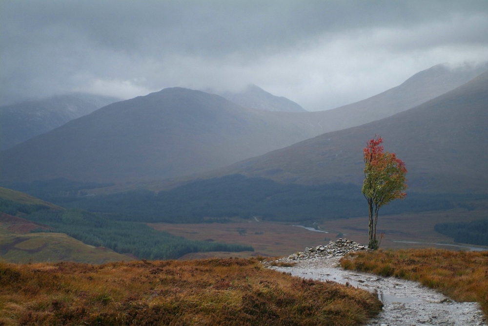 Highland Herbst
