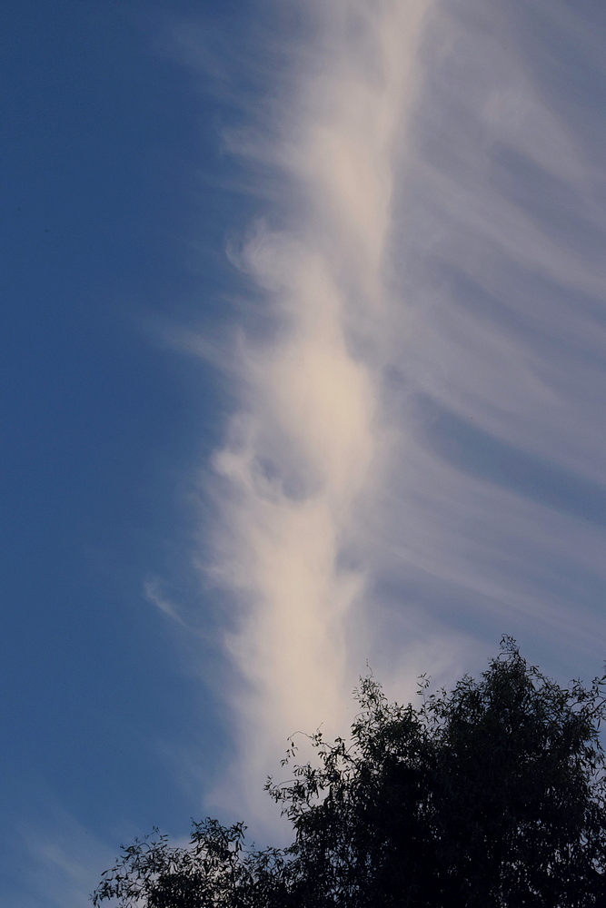 Himmel über Buch8