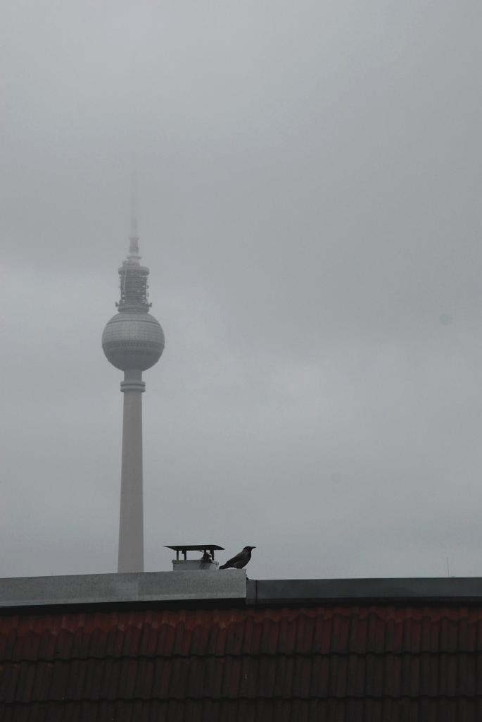 himmel ueber Berlin
Nebelkraehe