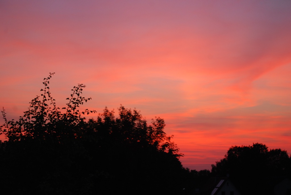 Himmel2, 2010