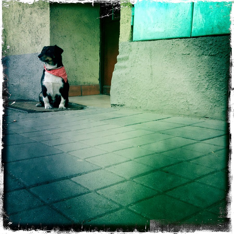 HipIMG 0356