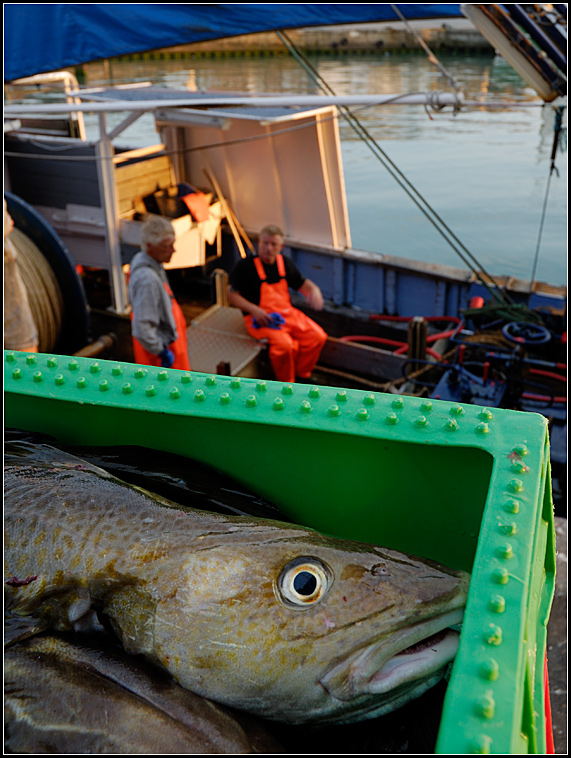 hirtshals05