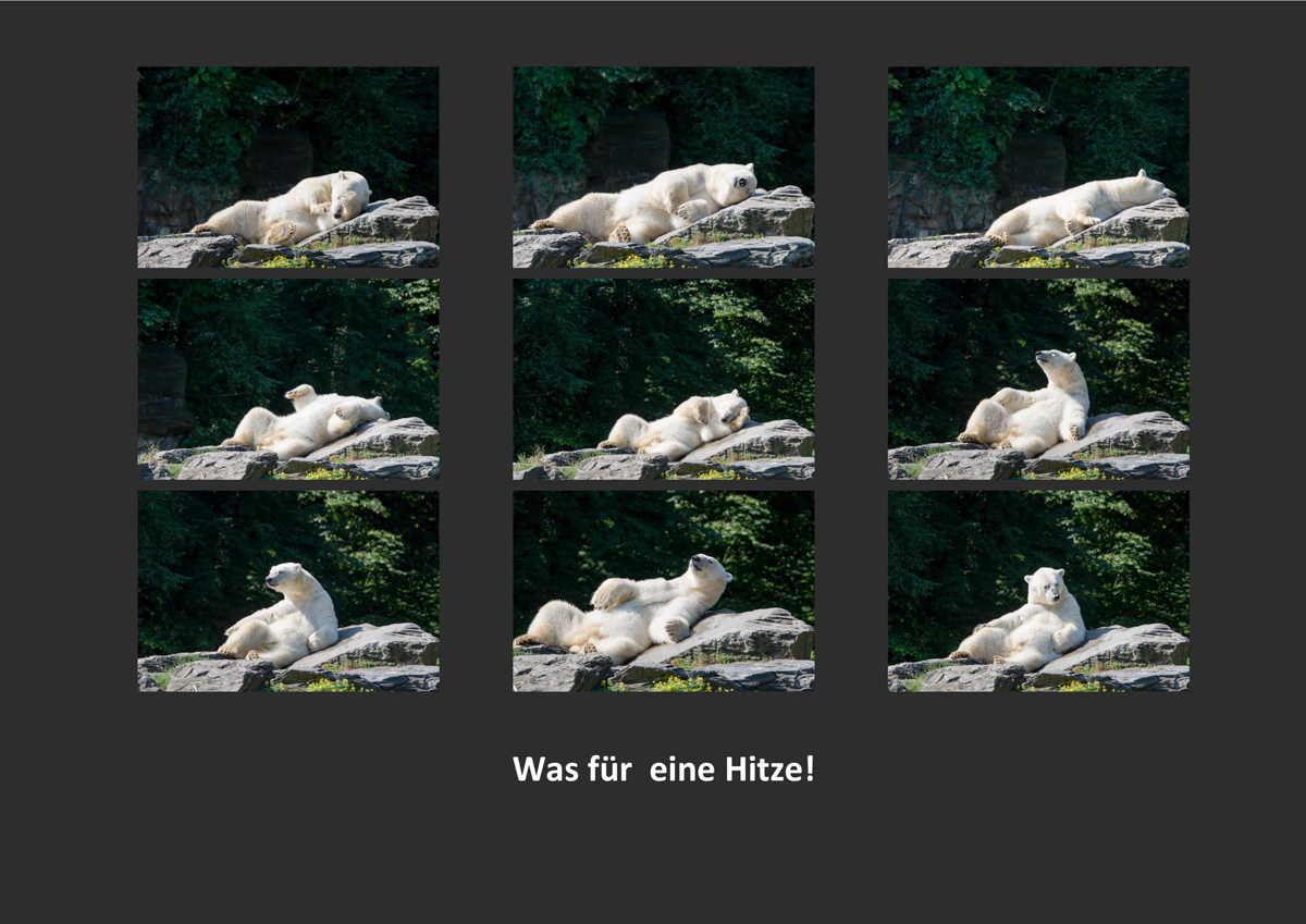Hitze 2