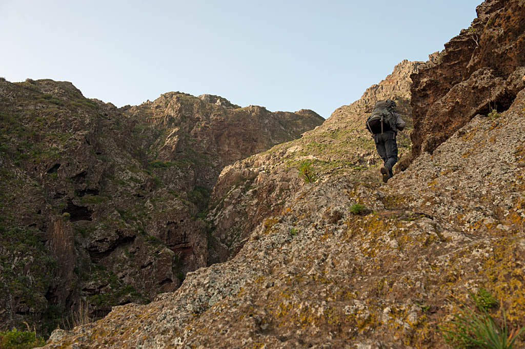 HO13691