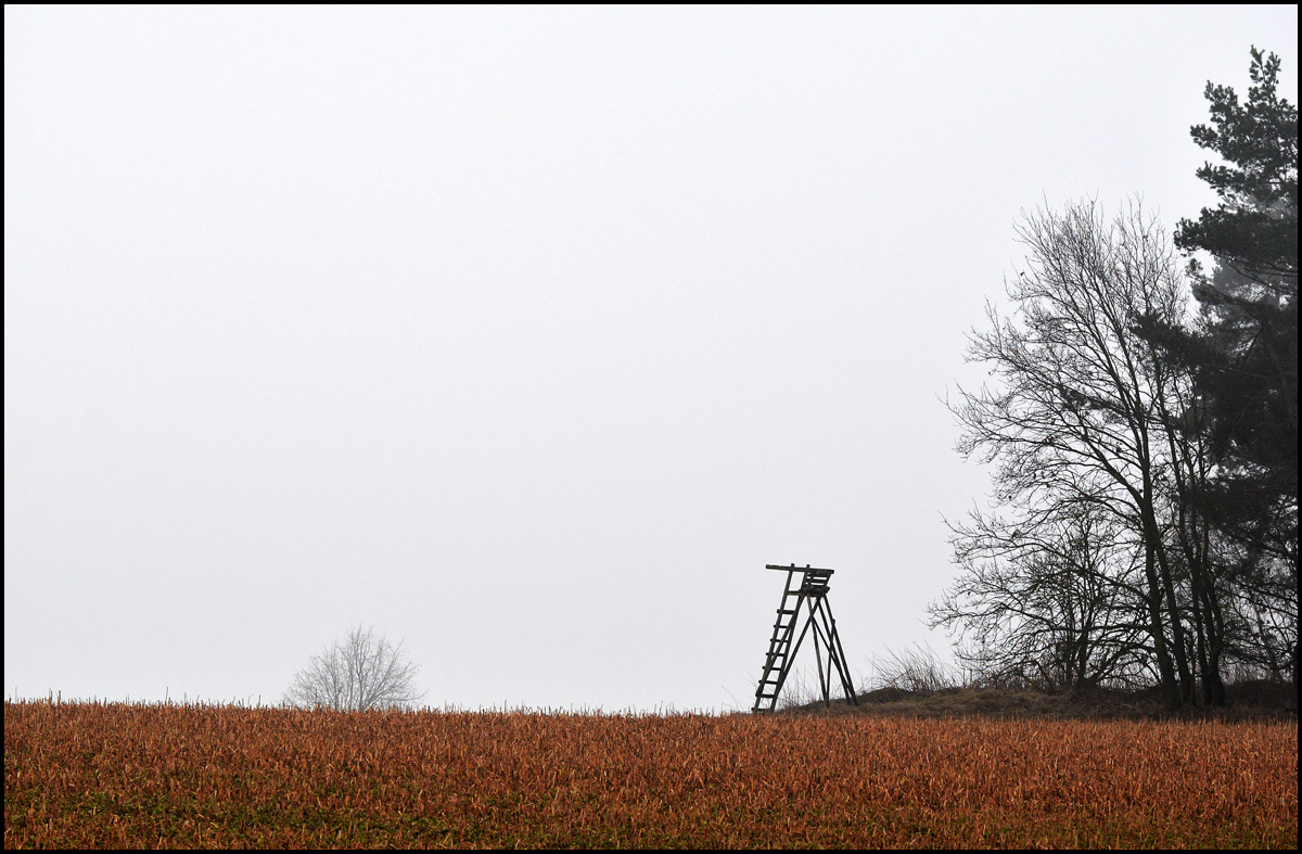 Hochsitz