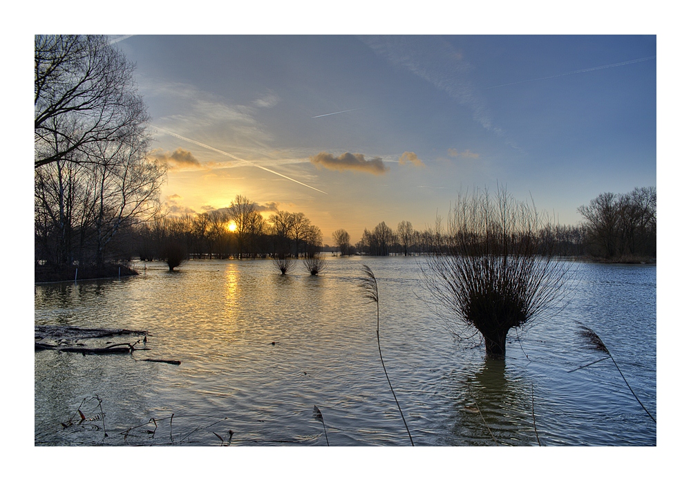 Hochwasser bei Schwülper