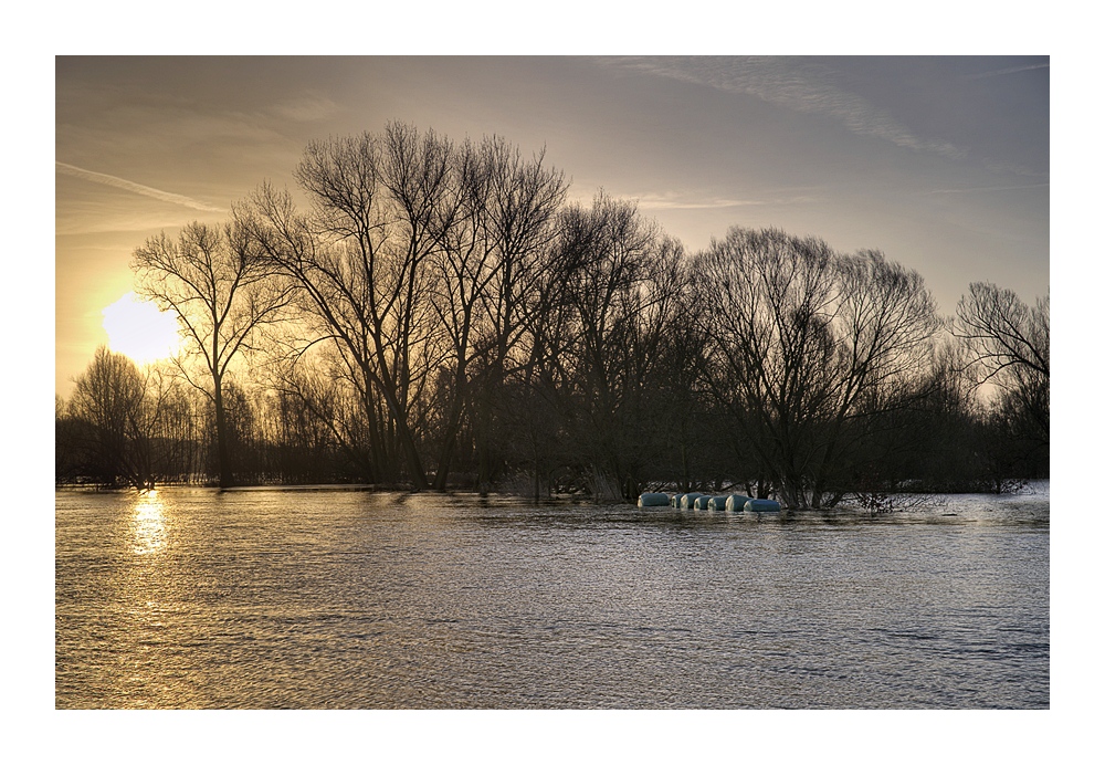 Hochwasser bei Schwülper
