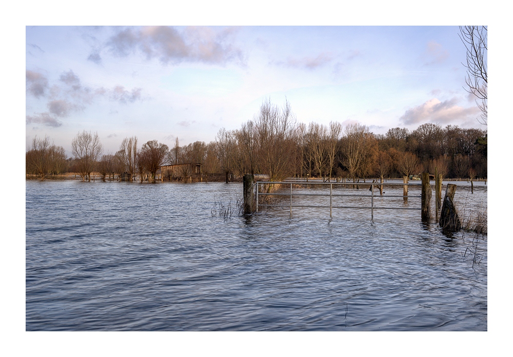 Hochwasser bei Schwülper