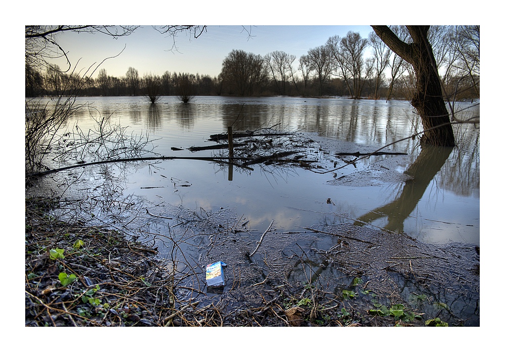 Hochwasser bei Schwülper