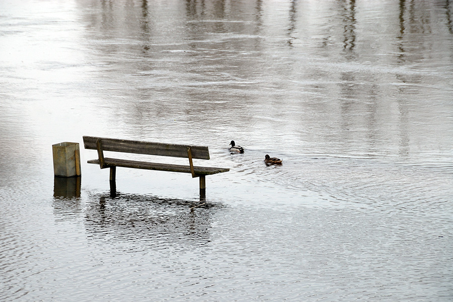 Hochwasser Haren0008