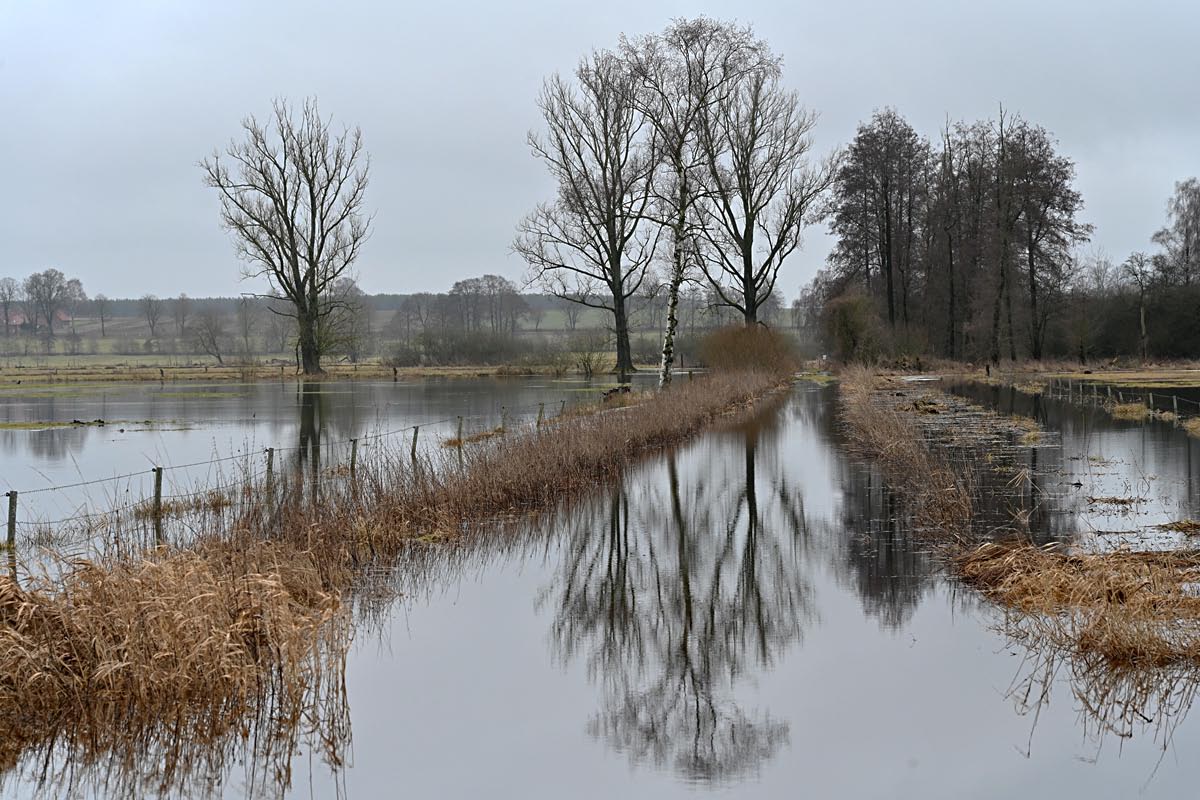 Hochwasser in den Seewiesen 1.jpg